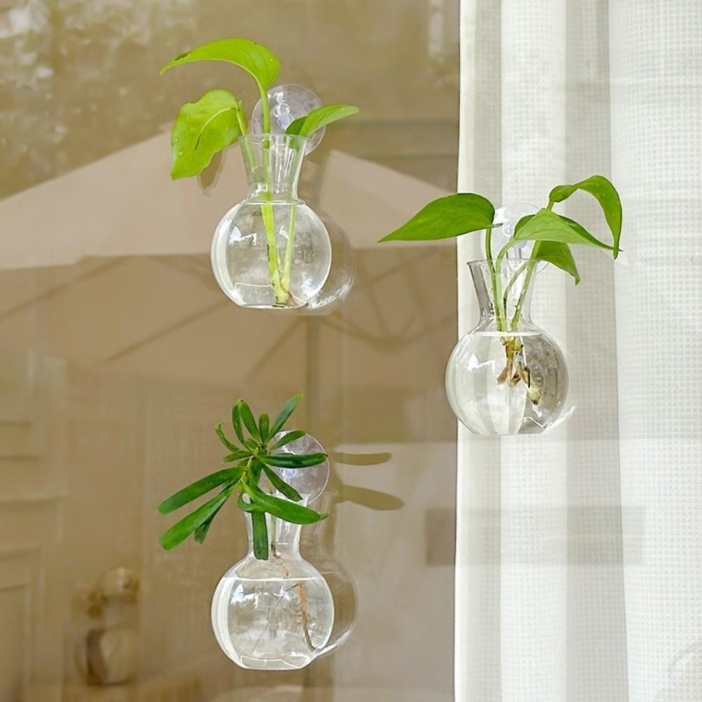 2 Stück Neue halbkreisförmige wandmontierte Vase Transparent Kreativ Pflanze Hydroponisches Aquarium Wandbehang Blumentopf Büro Dekoration