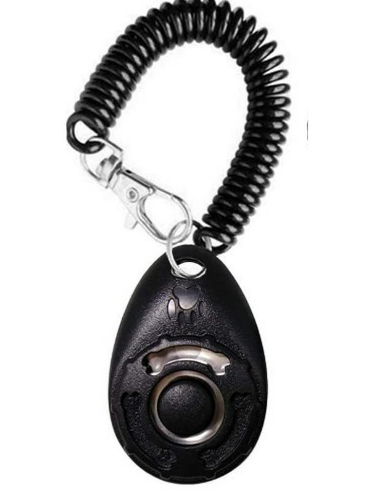 Oval Dog Training Clicker - Direct Sales Pet Trainer