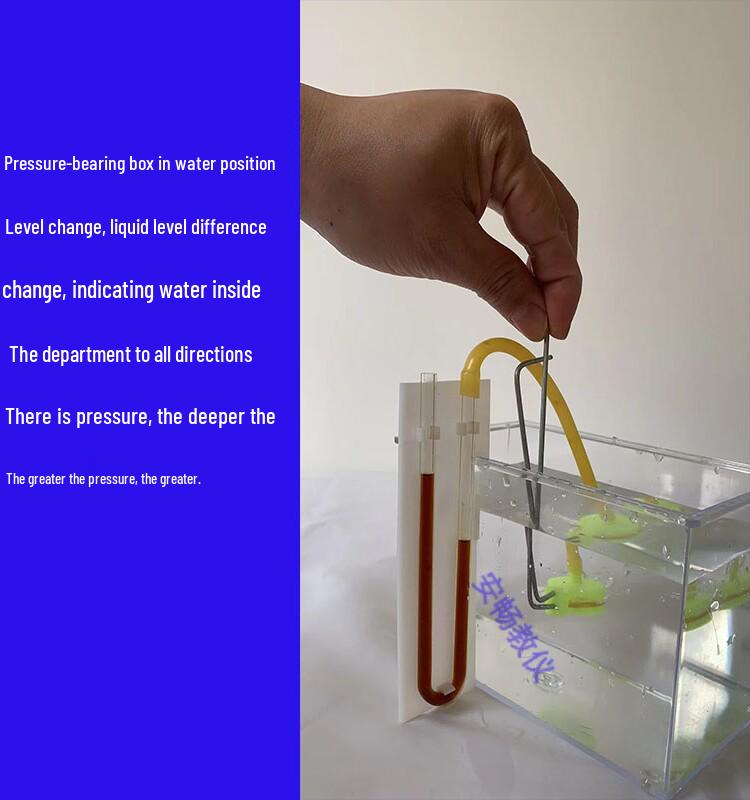 Floating and Sinking Experiment Kit for Elementary Science Standard Size