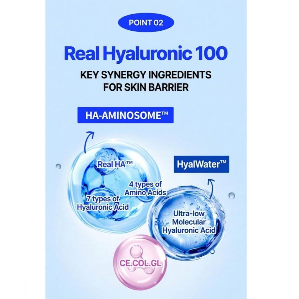 [WELLAGE] Echte Hyaluronsäure 100 Creme 80ml