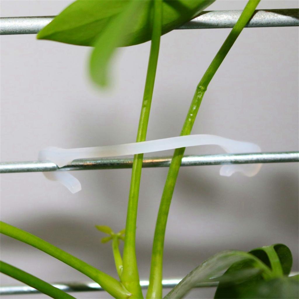 Garden Plant Vine Fixing Clip Kiwi Grape Cucumber Tomato Stem Binding Clamp Tied Buckle Lashing Hook Climbing Gadget 100/1000Pcs