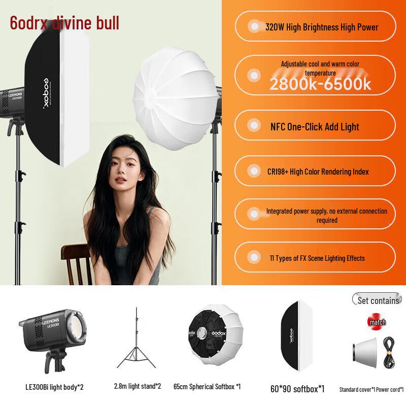 Godox LE300Bi Bi-Color LED Video Light 2-Light Kit