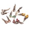 12Pcs Simulation Foam Bird Artificial Bird Decor with Clip Fixing Home Garden Plant Decoration