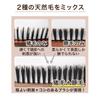 Bess VESS In Natural Bristle Cushion Brush with Stepped Brush Cleaner Gift [Made Japan] 100% Boar/Pig Bristles, 3-Way Included, Idea, SP-5000