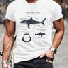 Great White Shark T-Shirt,Lightweight T-Shirt Breathable Cool, Comfortable Wear