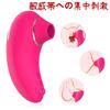 Clitoral Suction Vibrator for Women, 9 Suction Levels + Vibration, Nipple & Clit Stimulator, Compact, Powerful, USB Rechargeable Adult Toy