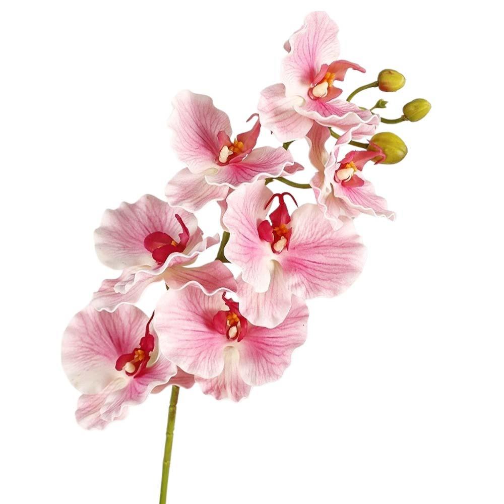 Handmade Simulation Big Moth Orchid Real Touch Faux Phalaenopsis  Wedding Party Favors