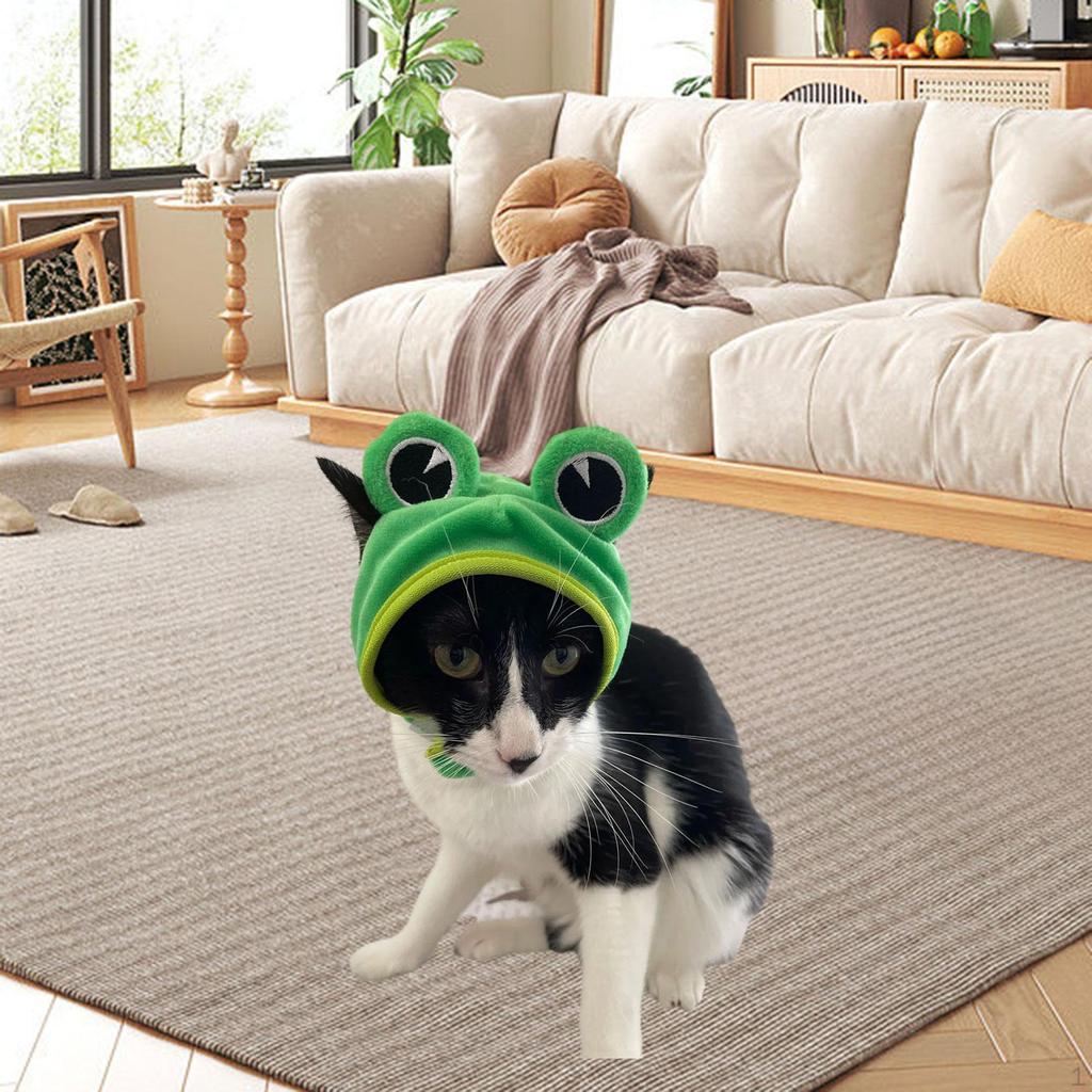 Cat Cats for PUPPY DOG Photos Property Head Wrap Photo Props Festival