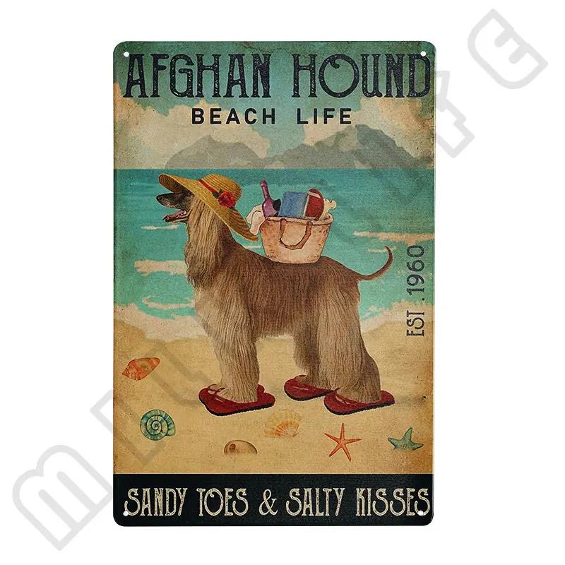 Afghan Hound Vintage Poster Metal Signs Retro Tin Sign Decorative Plaque Room Decoration for Pub Bar Man Cave Club Wall Decor