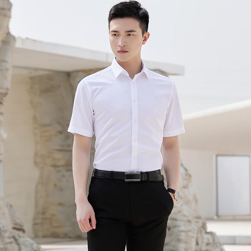 Terman Unisex 98% Cotton Non-Iron Short-Sleeve Formal Shirt