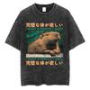 Ich will einen perfekten Körper Ich will eine perfekte Seele T-Shirt Lustige Capybara im japanischen Stil Vintage-gewaschenes T-Shirt Herren Oversized T-Shirts Oberteile