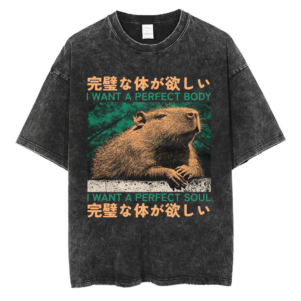 I Want A Perfect Body I Want A Perfect Soul T-shirt Funny Japanese Style Capybara Vintage Washed T Shirt Men Oversized Tees Tops S разноцветный