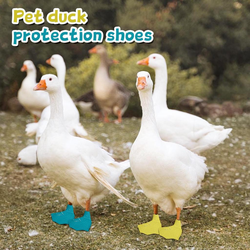 Pet  Cole  Foot Poultry Boots