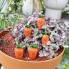 Easter Stake Carrot Statue Smile Carrot Shaped Figurines Plant for Indoor and Outdoor Sculpture Decors