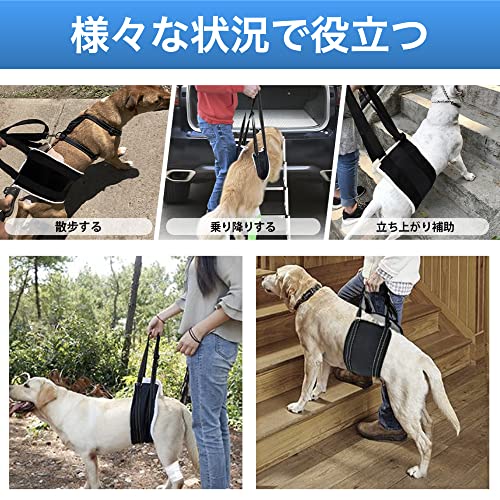 Ailunate Dog Walking Assistance Harness, Hind Leg Support Belt for Care and Assistance, for Senior Dogs and Pets (Size M)