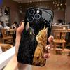 Süße Katze gehärtetes Glas Handyhülle für iPhone 17/16/15/14/13/12/11 Pro Max All-inclusive Anti-Fall und Stoßfest Rückseite