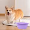 600ML Pet Bowl Convenient Foldable Silicone Dog Bowls Portable Easy To Clean Cat Dog Food Bowl Pet Supply