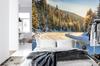 Photomural Winter Forest Smooth Vinyl 360x240
