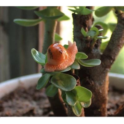 Micro Landscape Simulation Small Snail Small Ornament Cute Animal Resin Crafts Garden Decoration Home Decor Decoration Crafts