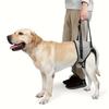 Dog Hip Support Brace for Hip Dysplasia, Adjustable Dog Hip Brace with Lift Strap | Pain Relief for Dog Arthritis and Joint Hurt