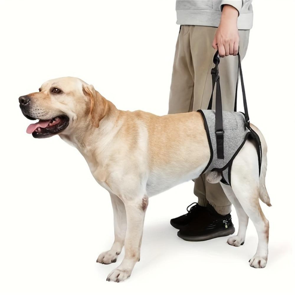 Dog Hip Support Brace for Hip Dysplasia, Adjustable Dog Hip Brace with Lift Strap | Pain Relief for Dog Arthritis and Joint Hurt
