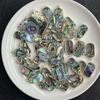1Pc, Natural Abalone Shell Rectangle Pendant Iridescent Golden Trim Charms for DIY Boho Jewelry Making Necklace & Earrings