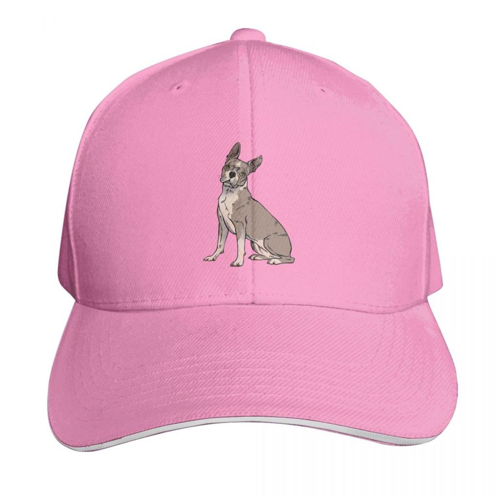 Lilac Boston terrier sitting Baseball Cap derby hat Funny hats F Snap Back Hat Unisex Hats Womens
