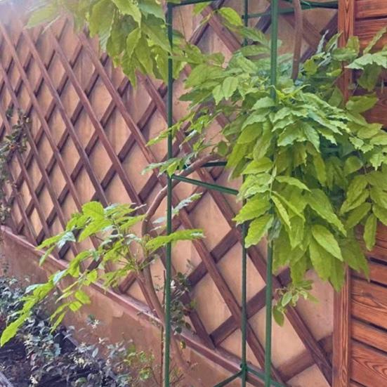 10 ks Tyčky k rostlinám Kovové s plastovým povrchem Podpůrné tyčky k rostlinám