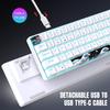 68 Keys 60% Mechanical Gaming Keyboard Hot Swappable Blue Switch Ice Blue Backlight Detachable USB-C Cable For Windows Mac Linux