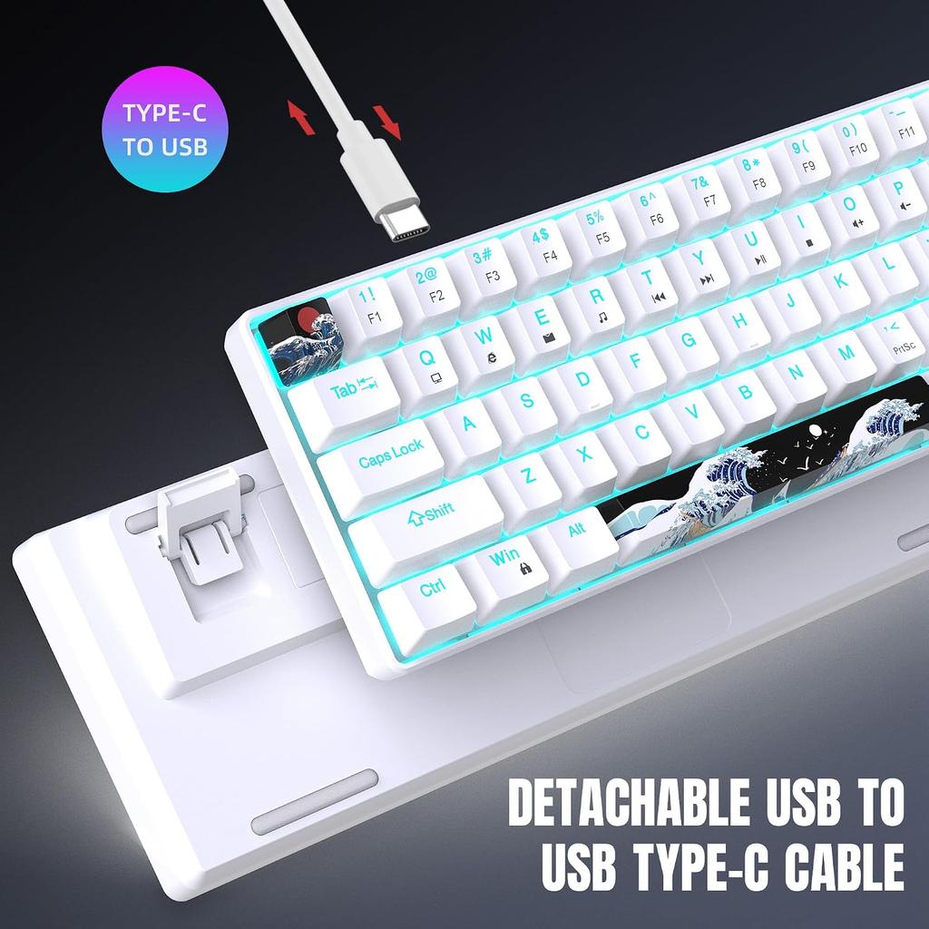 68 Keys 60% Mechanical Gaming Keyboard Hot Swappable Blue Switch Ice Blue Backlight Detachable USB-C Cable For Windows Mac Linux