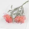 Vase Filler Floral Artificial Flowers Fake Flowers Colorful Crab Claw Flowers For Garland Party Supplies Diy Projects
