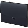 Sekisei Document File Art Case Flat A3 Black ART-702