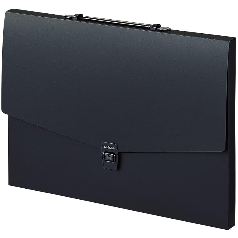 Sekisei Document File Art Case Flat A3 Black ART-702