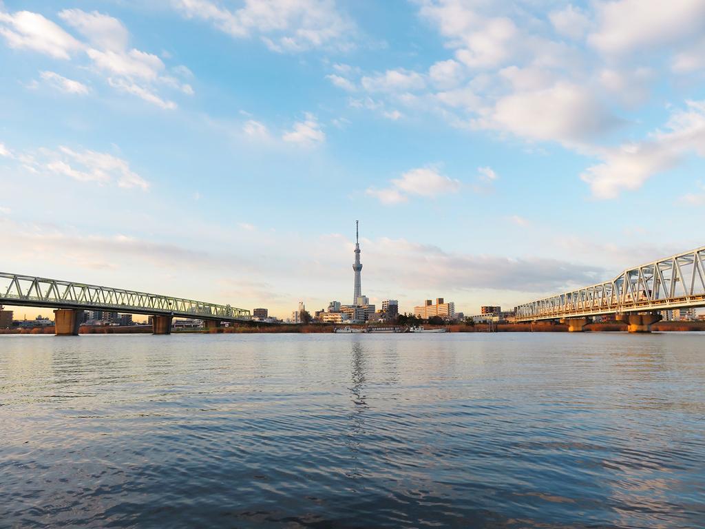 Canon Digital Camera PowerShot SX710 HS Black 30x Optical Zoom PSSX710HS(BK)