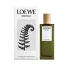 Men's Fragrances