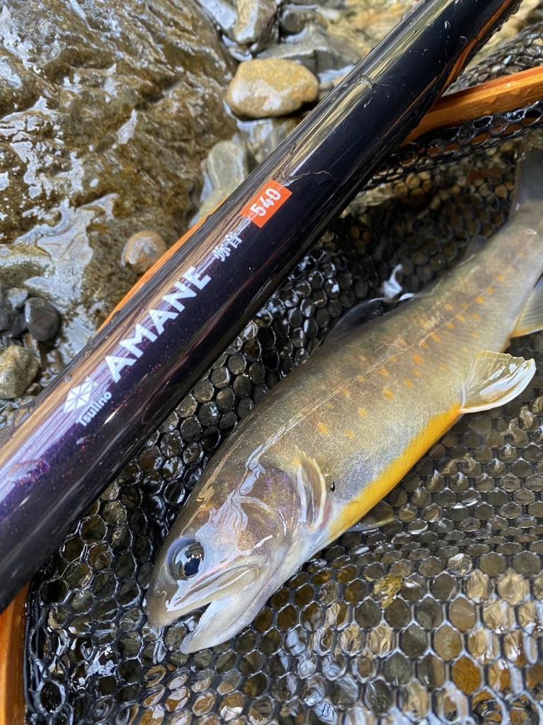 Tsulino AMANE [Short Joint All-Purpose Mountain Stream Rod/Short Joint Rod/Short Joint Rod] (540 (5.4m))