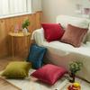Set of 2 Velvet PIllowcase Solid Cushion Cover with Pom Poms Ball Throw Pillow Covers for Home Bed Sofa Decor 45X45  30X50 Cm