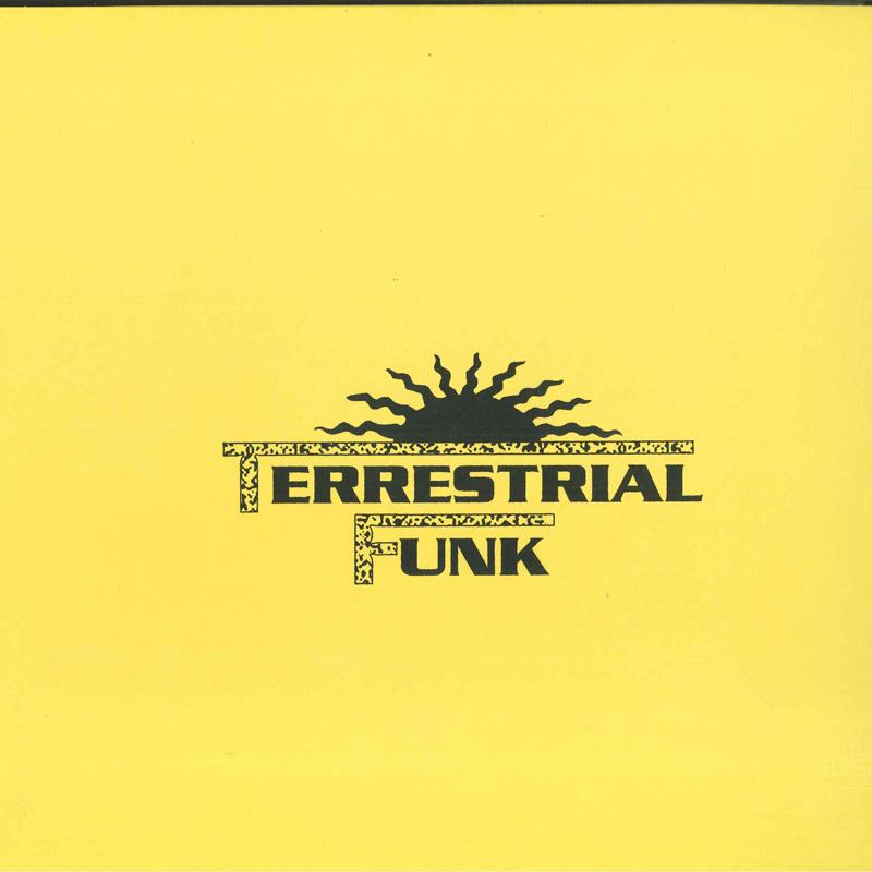 

12inch Record SYSTEM EXCLUSIVE - Summertime TF012 Terrestrial Fun 2024 US Dance & Electronica