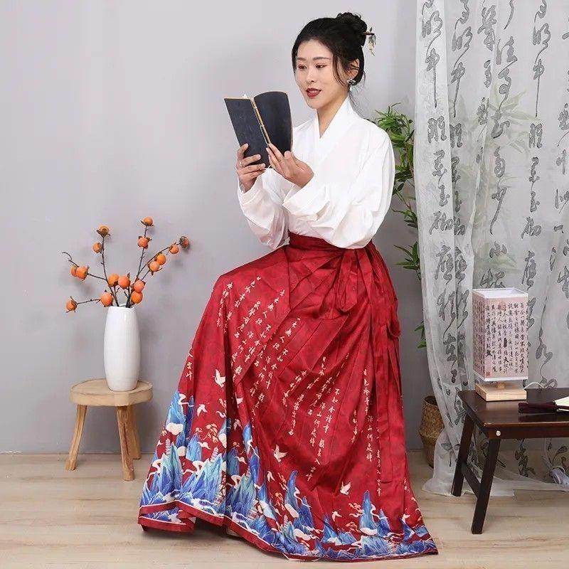 Chinese Ming Dynasty Style Hanfu Suit Landscape Painting Horse-face  Skirt Daily Set