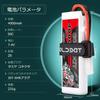GOLDBAT 4000mAh 50C 2S 7.4V LiPo Battery with TAMI YA Plug, Pack of 2, LiPo Battery for RC Cars, Tamiya Plug Included