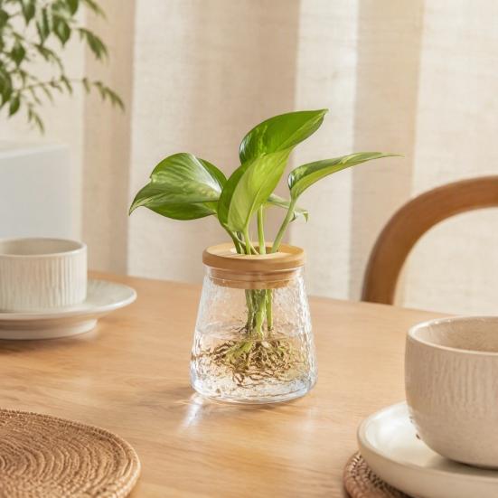 Desktop Flower Vase Hydroponic Planter with Lid, Glass-Like Clear Plant Propagation Station, Minimalist Style for Cuttings, Home Office Desk
