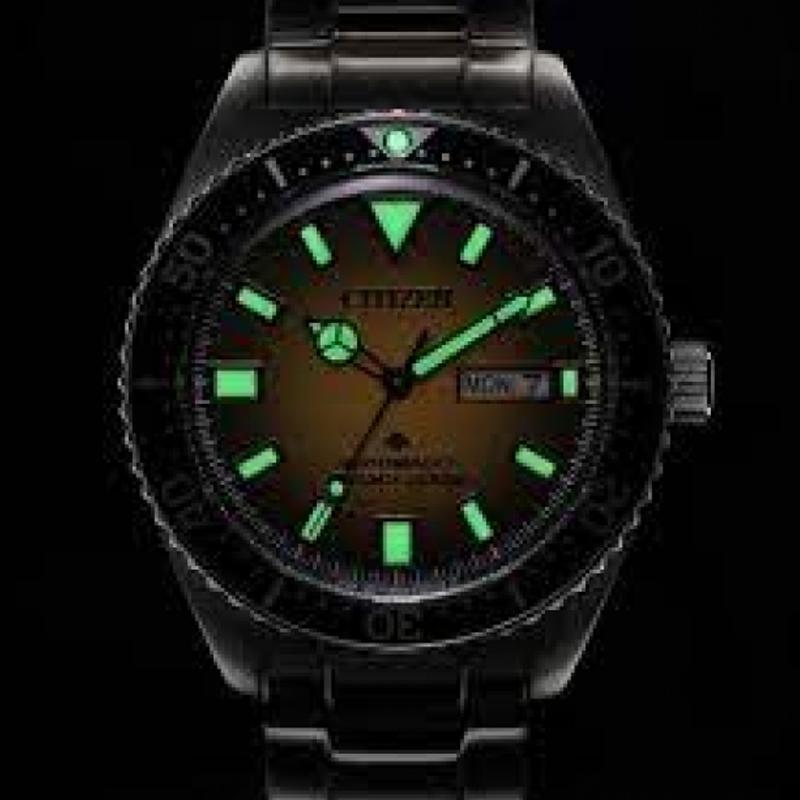 CITIZEN PROMASTER 200m Waterproof Automatic Mechanical Movement Stainless Steel Strap Watch 41mm NY012052X