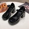 Fashion Women's Fashion Chunky Heel Mary Jane Shoes Spring New Round Head Shallow Mouth Line with Anti-slip Wear-resistant Shoes