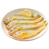 Sandu Port Frozen Yellow Croaker Fish