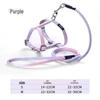 Little Bee Cat & Small Dog Harness and Leash Set
