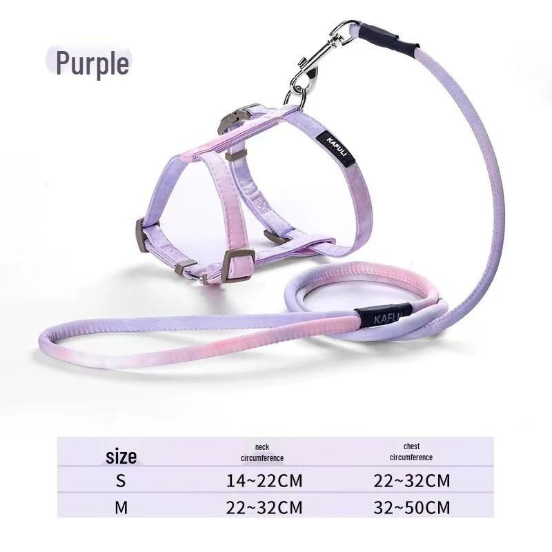 Little Bee Cat & Small Dog Harness and Leash Set