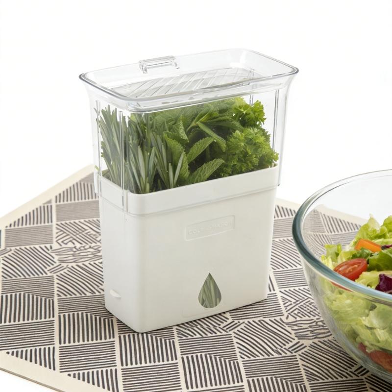 Clear View Vegetable and Herb Storage Container Maintains Crispness for Kitchen Organization and Picnics Essential