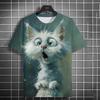 Funny Animal Cat Pattern 3D Print Men's T-Shirts Summer Women Streetwear Fashion Oversized Unisex T Shirt Men Clothing