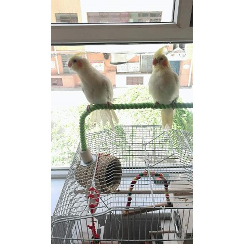 Jucărie pentru mușcături de păsări Papagal în picioare Jucărie de frânghie țesătă Jucărie de mestecat de păsări Jucărie de mestecat de păsări Papagal în picioare în picioare pentru perusi