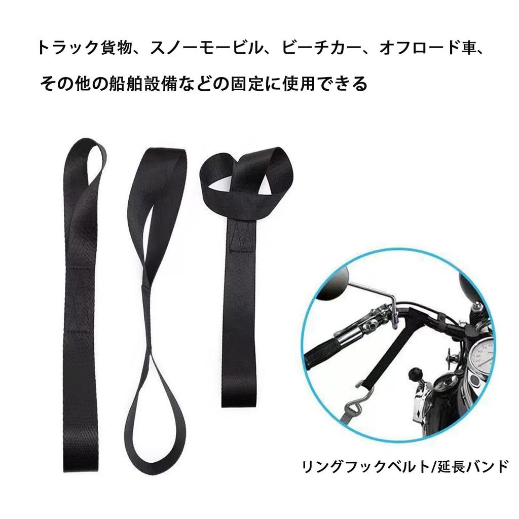 HUIKKJP Tie Down Belts, Set of 8 (Black) 1.0 x 11.8 inches (2.5 x